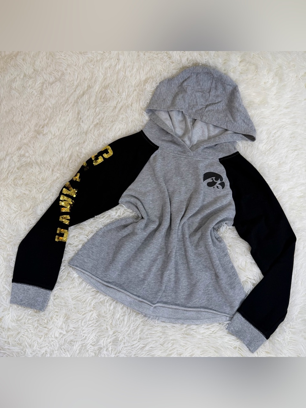 Iowa Hawkeyes hoodie